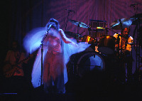 Stevie Nicks Fleetwood Mac